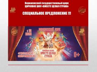 Акции на приобретение билетов для многодетных семей в Воронежском государственном цирке